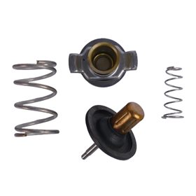 TERMOSTAT 4,4 DIESEL RR OD 2010 / RR L40 LR023138GEN