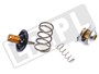 TERMOSTAT 4,4 DIESEL RR OD 2010 / RR L40 LR023138GEN
