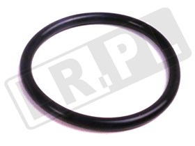 ORING KROCCA WODY 4,4 V8 DIESEL RR OD 20 LR023145GEN