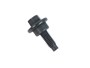 SRUBA M6 X 17MM NAPINACZA LANCUCHA POMPY LR025481GEN