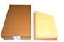 FILTR POWIETRZA 2,0 BENZYNA GTDI / 2,2 D LR029078GEN