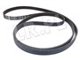 PASEK GLOWNY PLASKI - DEFENDER 2.2 DIESE LR031360GEN