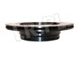 TARCZA HAMULCOWA TYL - RR L322 OD 2006 LR031844DELPHI