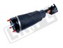 AMORTYZATOR PRZOD LEWY - RR L322 3,6 V8 LR032575DUNLOP