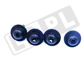 SRUBA M6 (Z PODKLADKA) LR033401GEN