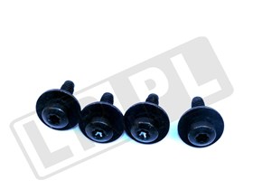 SRUBA M6 (Z PODKLADKA) LR033401GEN