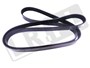 PASEK GLOWNY PLASKI RR L405 / RR SPORT O LR035502DAYCO