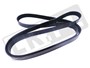 PASEK GLOWNY PLASKI RR L405 / RR SPORT O LR035502DAYCO