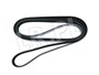 PASEK GLOWNY PLASKI RR L405 OD 2013 4,4 LR036090DAYCO