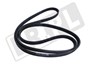 PASEK GLOWNY PLASKI FREELANDER 2 2,0 BEN LR036456G