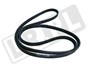 PASEK GLOWNY PLASKI FREELANDER 2 2,0 BEN LR036456G
