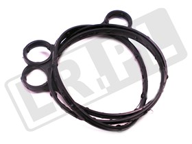 USZCZELKA POMPY PODCISNIENIA 2,0 GTDI BE LR039593EUROSPARE