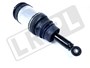 AMORTYZATOR TYL KOMPLETNY RANGE ROVER SP LR041110G-ALL