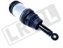 AMORTYZATOR TYL KOMPLETNY RANGE ROVER SP LR041110G-ALL