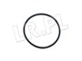 ORING POMPY WTRYSKOWEJ - DEFENDER 2.2 DI LR045359GEN
