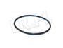 ORING POMPY WTRYSKOWEJ - DEFENDER 2.2 DI LR045359GEN