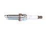 SWIECA ZAPLONOWA DISCOVERY 4 / LR050998G