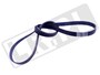 PASEK GLOWNY PLASKI DIESEL 3,0 V6 RR L40 LR062006GEN