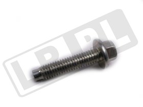 SRUBA M6 X 25MM LISTWY WTRYSKIWACZY LR068809GEN