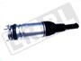 AMORTYZATOR PRZOD PRAWY (Z PODUSZKĄ) RR LR087083G