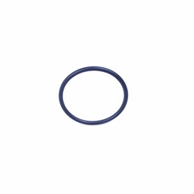 ORING TROJNIKA PRZEWODOW CHLODNICY LR097266GEN