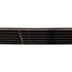 PASEK POMPY ARC DIESEL 3,0 AJ20D6 RR L4 LR125251GATES