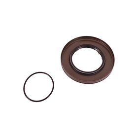 SIMERING REDUKTORA BORG WARNER LR160896GEN