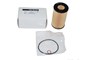 FILTR OLEJU - FREELANDER TD4 / ROVER 2,0 LRF100150SLPG