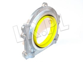 USZCZELNIENIE WALU TYL TD5 LUF100420REINZ