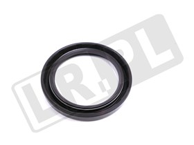 SIMERING WALKA ROZRZADU FREELANDER DIESE LZB100271GEN