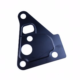 USZCZELKA REGULATORA CISNIENIA PALIWA TD MSX100080