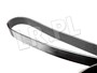 PASEK GLOWNY PLASKI JAGUAR X308 / XK8 NCA2211DAYCO
