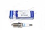 SWIECA ZAPLONOWA - FREELANDER BENZYNA NLP100290L