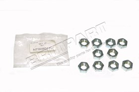 NUT NT608041LG