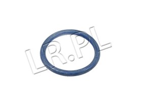 ORING WIAZKI POMPOWTRYSKIWACZY TD5 NYX100080