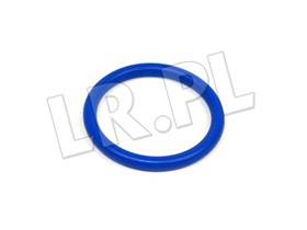 ORING WIAZKI POMPOWTRYSKIWACZY TD5 NYX100080GEN