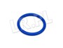 ORING WIAZKI POMPOWTRYSKIWACZY TD5 NYX100080GEN