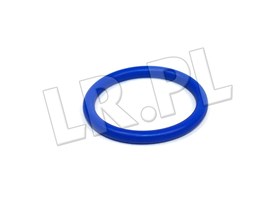 ORING WIAZKI POMPOWTRYSKIWACZY TD5 NYX100080GEN