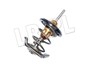 TERMOSTAT - FREELANDER 2,0 DIESEL PBM100040G-BM