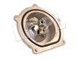 POMPA WODY TD5 PEM500040