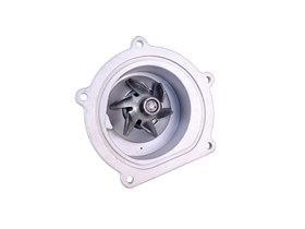POMPA WODY TD5 PEM500040AIRTEX