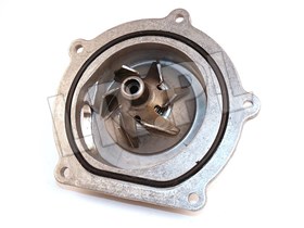 POMPA WODY TD5 PEM500040GEN