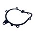 USZCZELKA POMPY WODY RR L322 4,4 V8 DOHC PET000050
