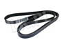 PASEK GLOWNY PLASKI RR L322 4,2 / 4,4 V8 PQR500320DAYCO
