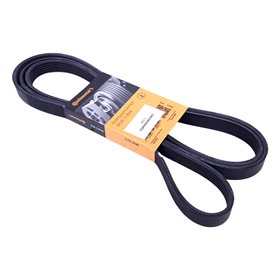 PASEK GLOWNY PLASKI (PRIMARY) - DISCOVER PQR500330CONTI