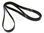 PASEK GLOWNY PLASKI (PRIMARY) - RR SPORT PQR500340DAYCO