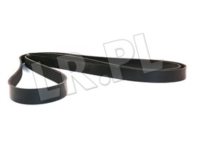 PASEK GLOWNY PLASKI (PRIMARY) - RR SPORT PQR500340DAYCO