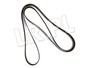 PASEK GLOWNY PLASKI (PRIMARY) - RR SPORT PQR500340DAYCO