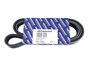 PASEK ALTERNATORA FREELANDER Z KLIMATYZA PQS100851ALL