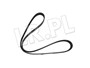 PASEK ALTERNATORA FREELANDER BEZ KLIMATY PQS101030DAYCO